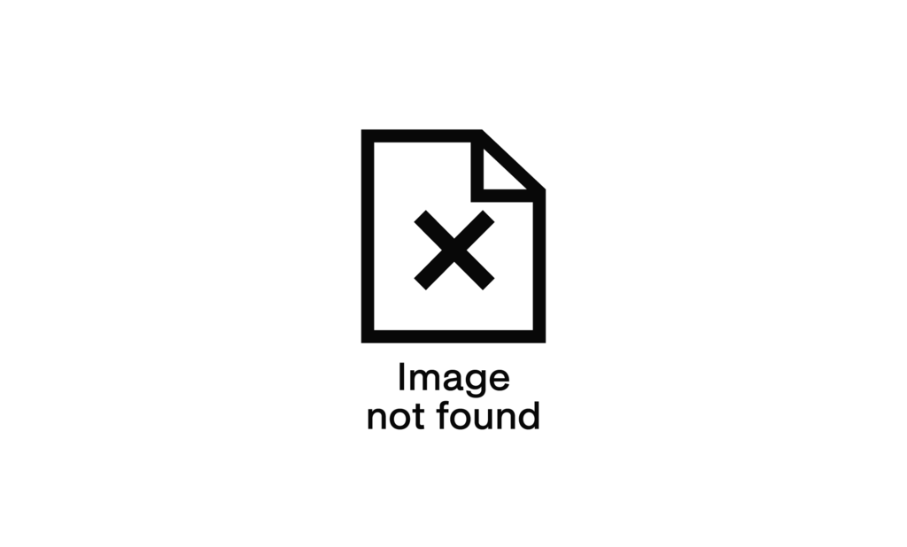 Eine stilisierte Datei mit einem grossen X in der Mitte hat die Unterschrift: Image not found. Als Platzhalter für ein fehlendes Bild.